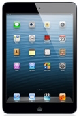 iPad Mini 120